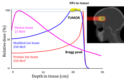Motivation- amplification of the ion radiation effects in the tumor