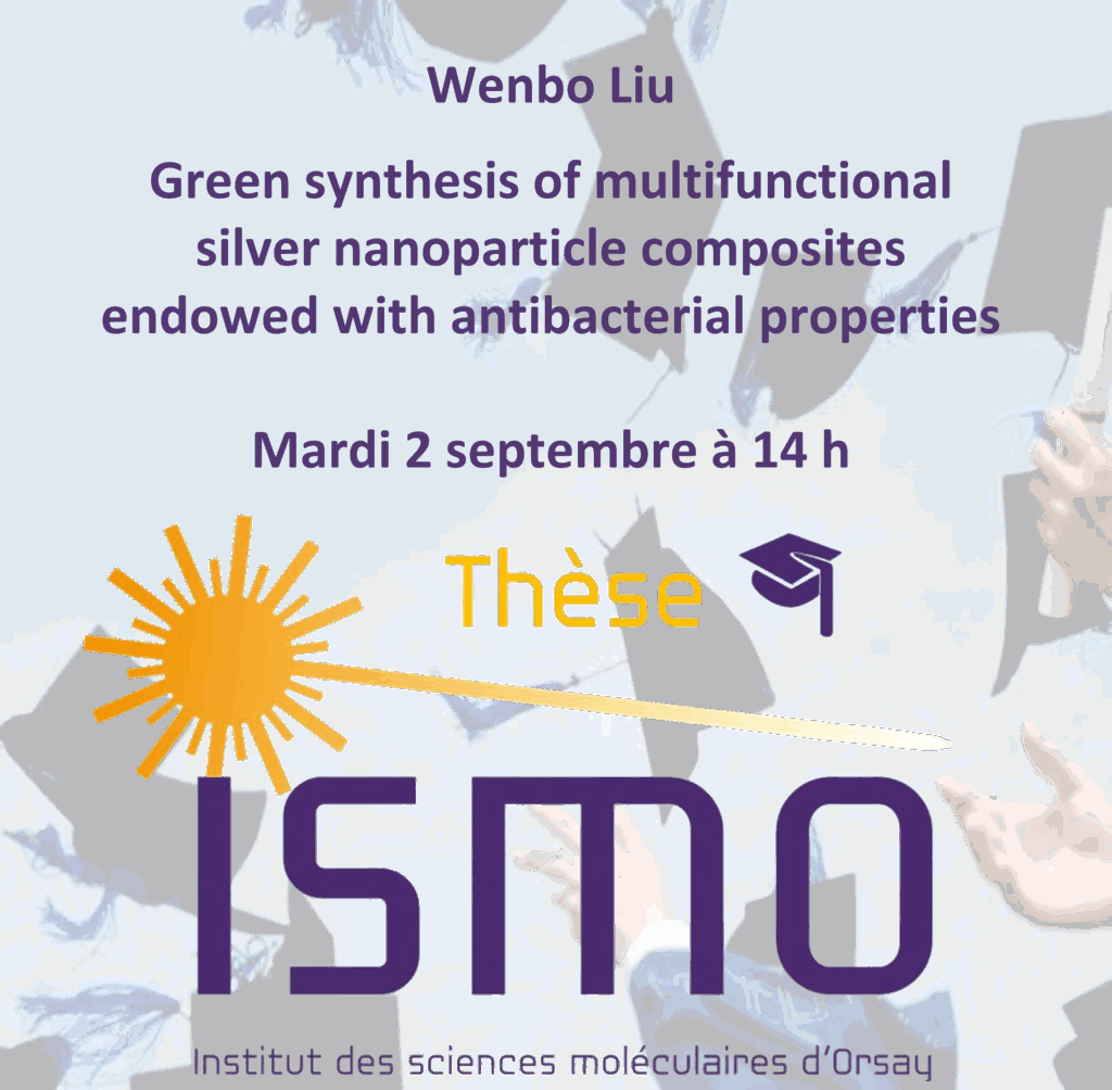 Green synthesis of multifunctional silver nanoparticle composites endowed with antibacterial properties
 
Amphithéâtre de l'ISMO