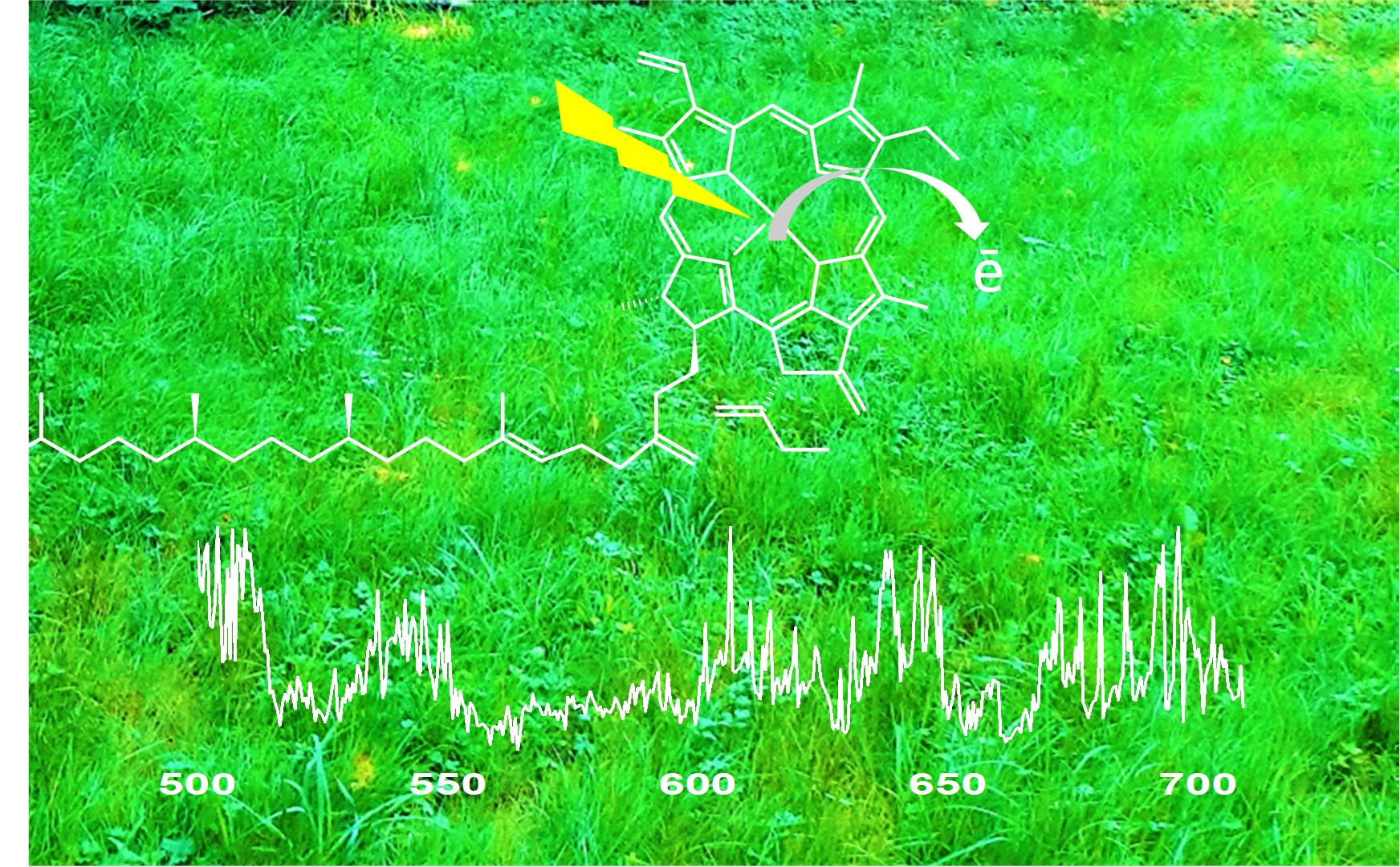 Photosynthèse, Chimie Physique Moléculaire, Photoelectron